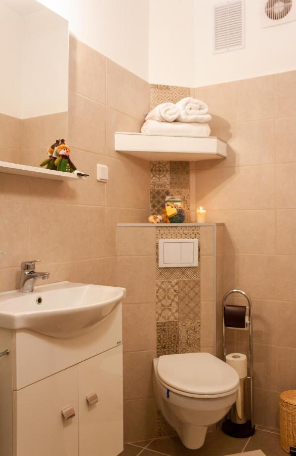 Cozy Family Apartments براشوف المظهر الخارجي الصورة